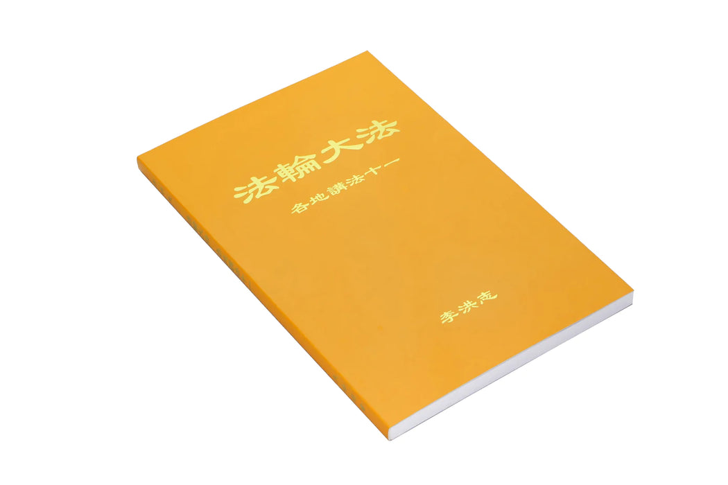 Collected Teachings Given Around the World Volume XI - Chinese Simplied Version